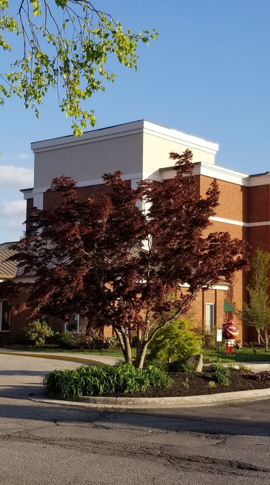 comfort inn renovation blacksburg virginia